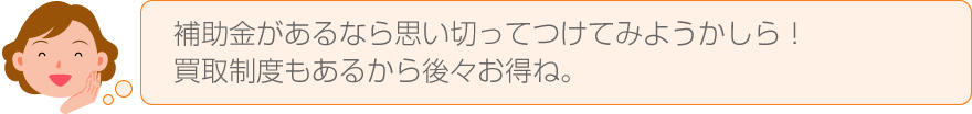 補助金があるなら思い切ってつけてみようかしら！買取制度もあるから後々お得ね。