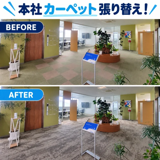 2026.9.19　本社カーペット張り替え✨

本社を新築してはや9年・・・カーペットもくたびれてきたところで全面張り替えを実施🤩落ち着いた色味で素敵な事務所に生まれ変わりました✨歩いた感じもフワフワで心地よいです☁お近くの方はぜひご来社くださいね♫

#後藤設備工業　#みずらぼ高松サンフラワー通り店　#みずらぼ松山東店　#事務所　#カーペット張り替え　#キレイなオフィス